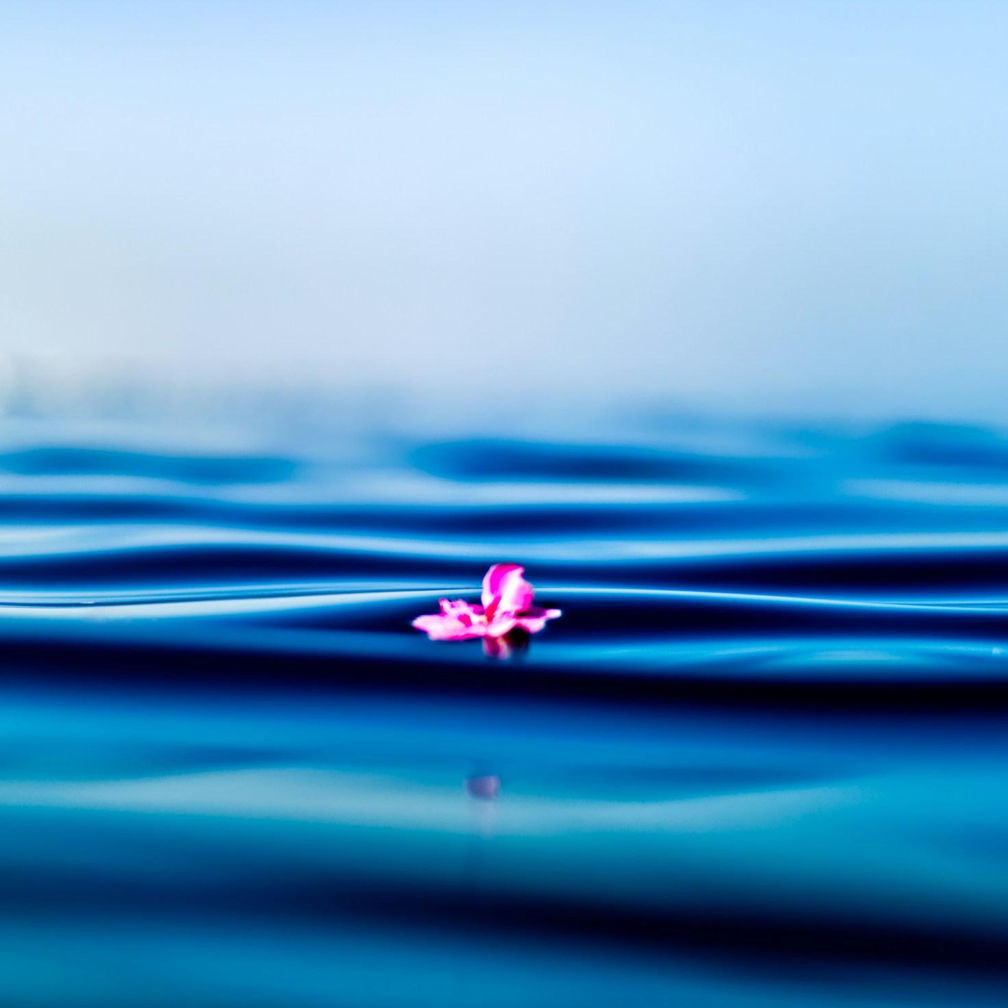 Meditation practice space with cushions arranged in circle